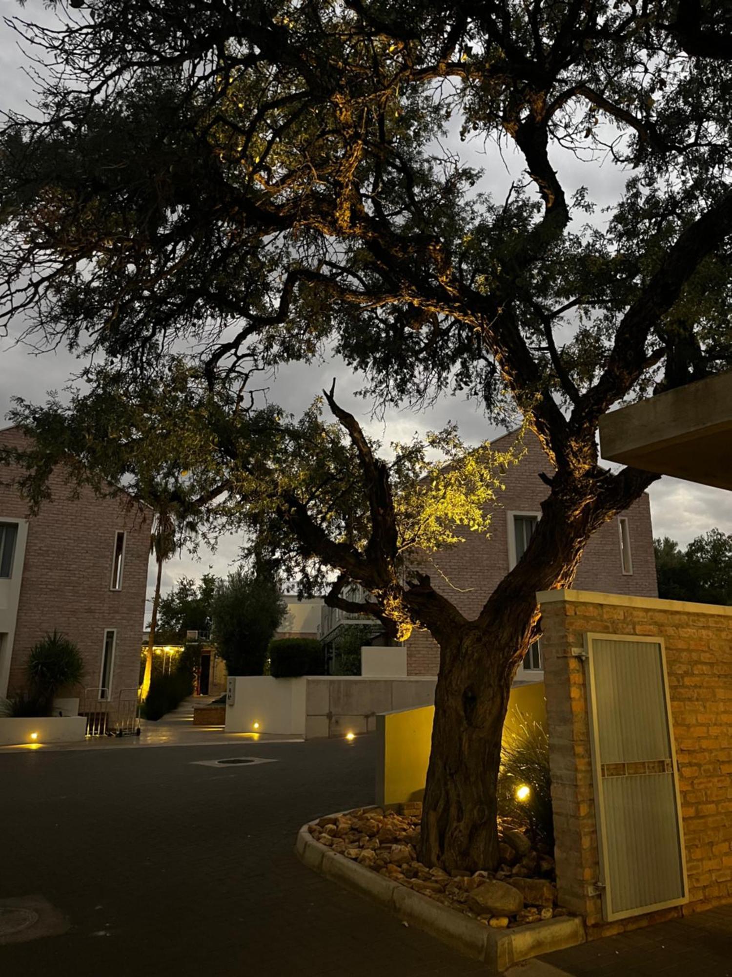 The Windhoek Luxury Suites Exterior foto